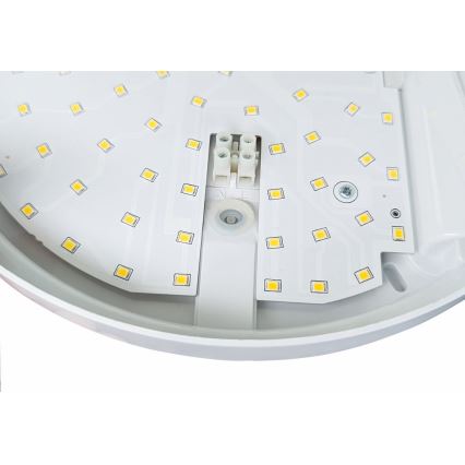 Applique murale extérieur avec détecteur HIBIS LED/15W/230V IP44