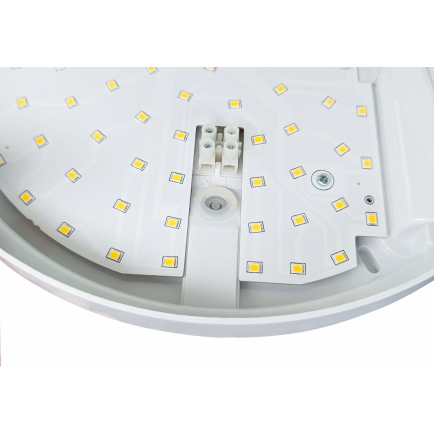 Applique murale extérieur avec détecteur HIBIS LED/15W/230V IP44