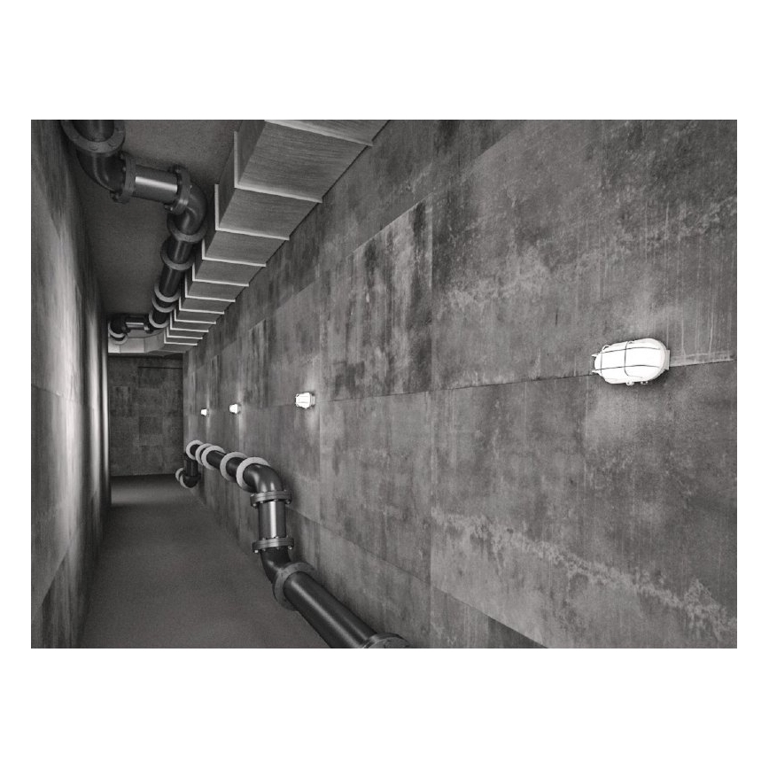 Applique murale extérieur OVAL 1xE27/60W/230V blanc IP44