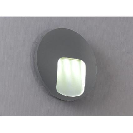 Applique murale extérieure LED DACU LED/3W/230V IP54 gris