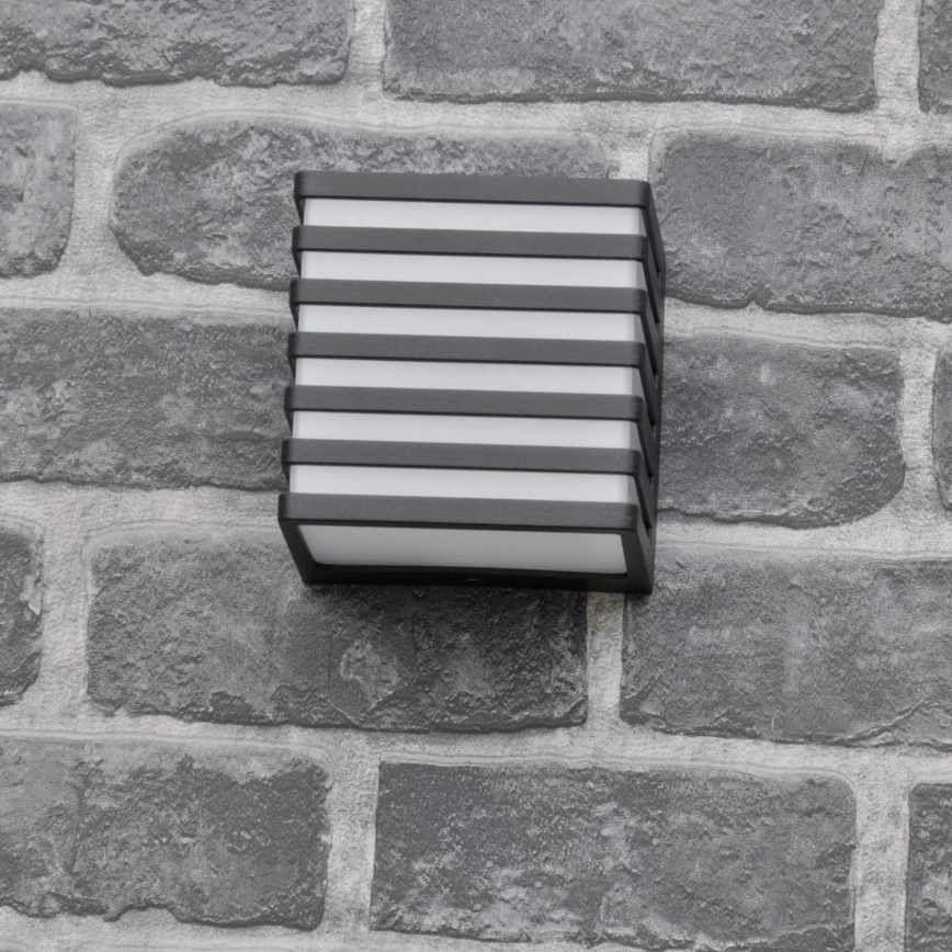 Applique murale extérieure MAXWELL LED/10W/230V IP54 graphite
