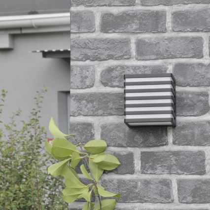 Applique murale extérieure MAXWELL LED/10W/230V IP54 graphite