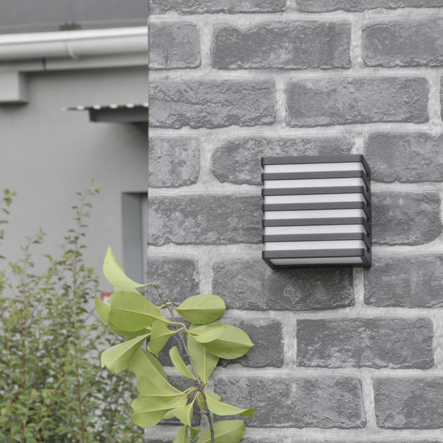 Applique murale extérieure MAXWELL LED/10W/230V IP54 graphite
