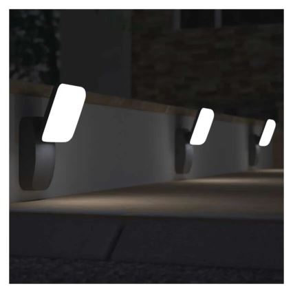 Applique murale extérieure NIKA LED/12,5W/230V IP44