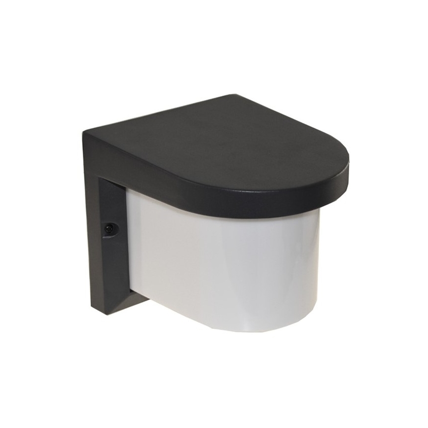Applique murale extérieure PETUNIA 1xE27/60W/230V IP44 anthracite