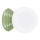 Applique murale pour salle de bains ZORI 1xG9/8W/230V IP44 vert
