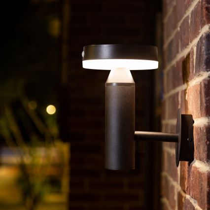 Applique murale solaire avec détecteur GWINEA LED/4,5W/3,7V IP44 noir