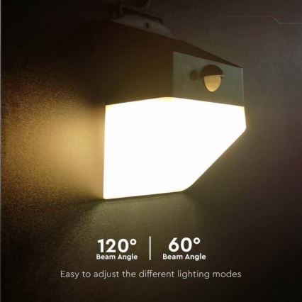 Applique murale solaire avec détecteur LED/2W/3,7V 4000K IP65