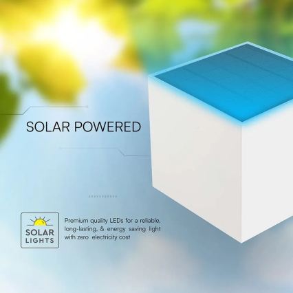 Applique murale solaire à LED avec capteur LED/9W/3,7V 3000/4000/5000K IP65 2600 mAh blanc