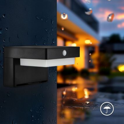 Applique murale solaire LED avec détecteur LED/5W/3,7V 2000 mAh IP44 noir