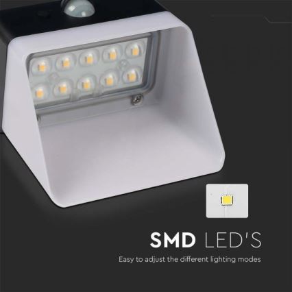 Applique murale solaire LED avec capteur LED/2W/3,7V 4000K IP65 1200 mAh