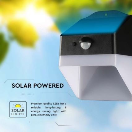 Applique murale solaire LED avec capteur LED/2W/3,7V 4000K IP65 1200 mAh