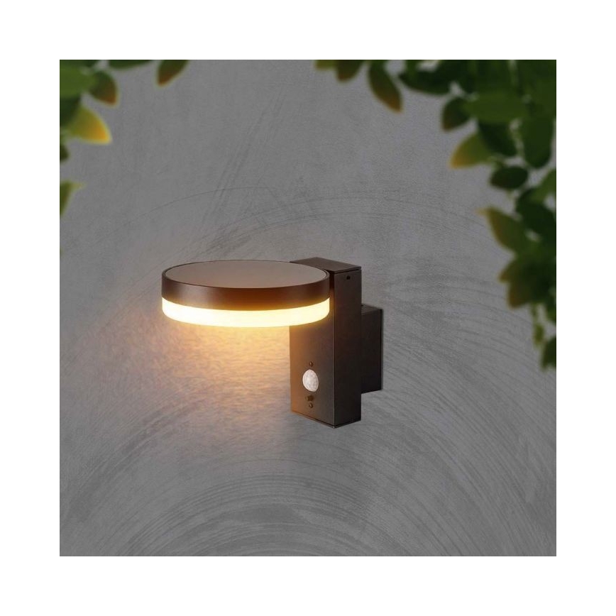 Applique murale solaire LED extérieure avec capteur LED/5,5W/3,7V 3000K IP54 2000 mAh
