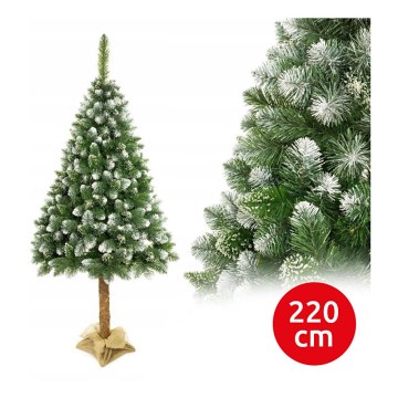 Arbre de Noël sur un tronc de 220 cm pin