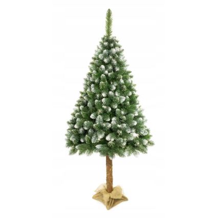 Arbre de Noël sur un tronc de 220 cm pin