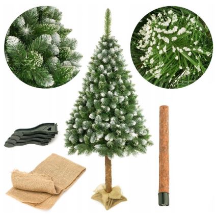 Arbre de Noël sur un tronc de 220 cm pin