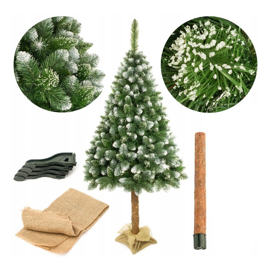 Arbre de Noël sur un tronc de 220 cm pin