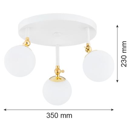 Argon 1434 - Badezimmer Deckenleuchte LATINA 3xE14/7W/230V IP44 weiß/gold