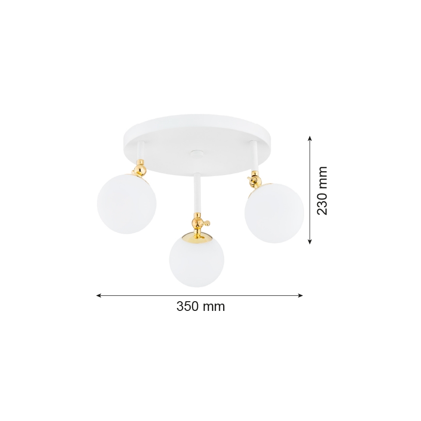 Argon 1434 - Badezimmer Deckenleuchte LATINA 3xE14/7W/230V IP44 weiß/gold