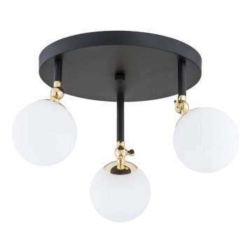 Argon 1436 - Badezimmer-Aufbauleuchte LATINA 3xE14/40W/230V IP44