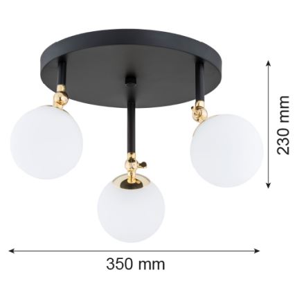 Argon 1436 - Plafoniera da bagno LATINA 3xE14/40W/230V IP44