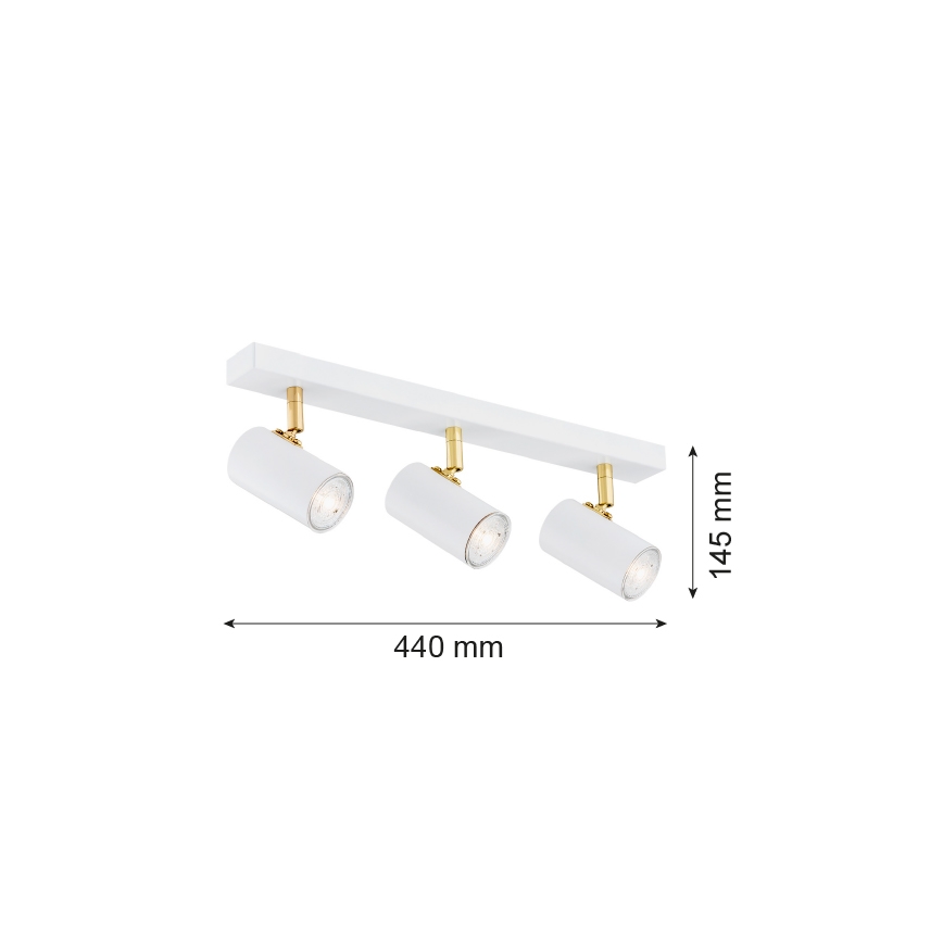 Argon 1475 - Spot LAGOS 3xGU10/5W/230V blanc/or