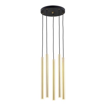 Argon 2109 - Lampadario LED su filo SICILIA 5xLED/4,5W/230V