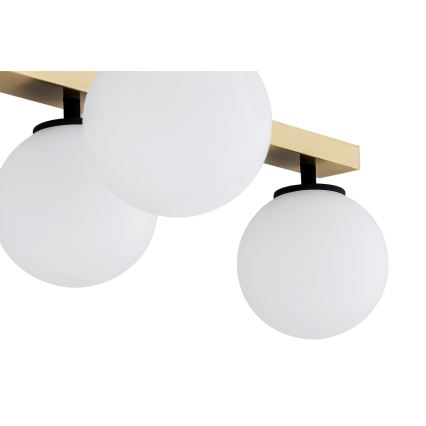 Argon 2544 - Lampadario da parete FREEMONT 6xE14/7W/230V