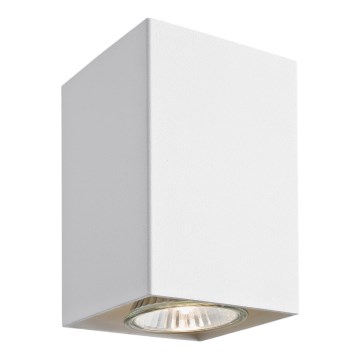 Argon 3087 - Faretto TYBER 3 1xGU10/50W/230V