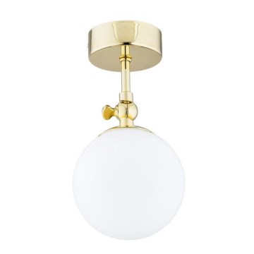 Argon 4001 - Aufputz-Deckenleuchte für Badezimmer LATINA 1xE14/40W/230V IP44