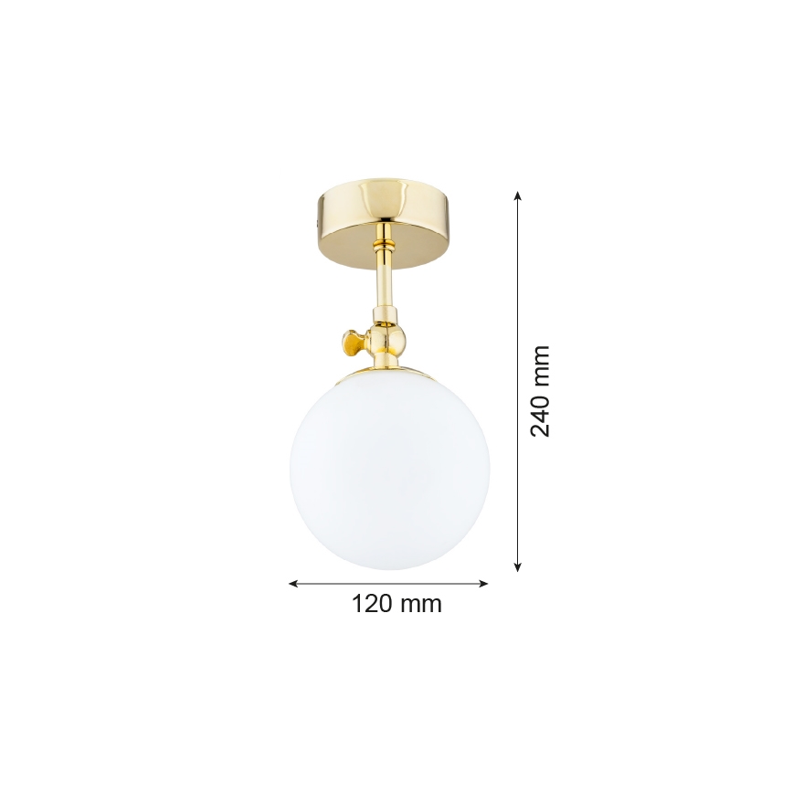 Argon 4001 - Plafonnier à montage en applique pour salle de bains LATINA 1xE14/40W/230V IP44