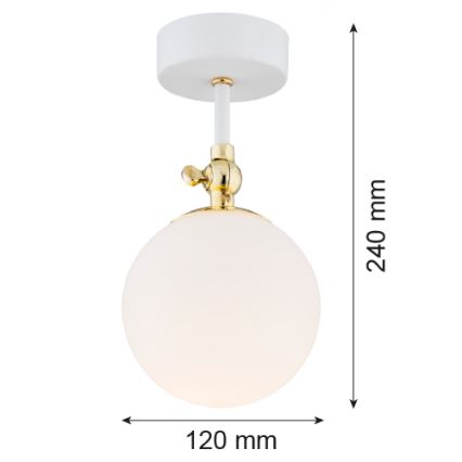 Argon 4002 - Plafoniera da bagno a montaggio superficiale LATINA 1xE14/7W/230V IP44 bianco/oro