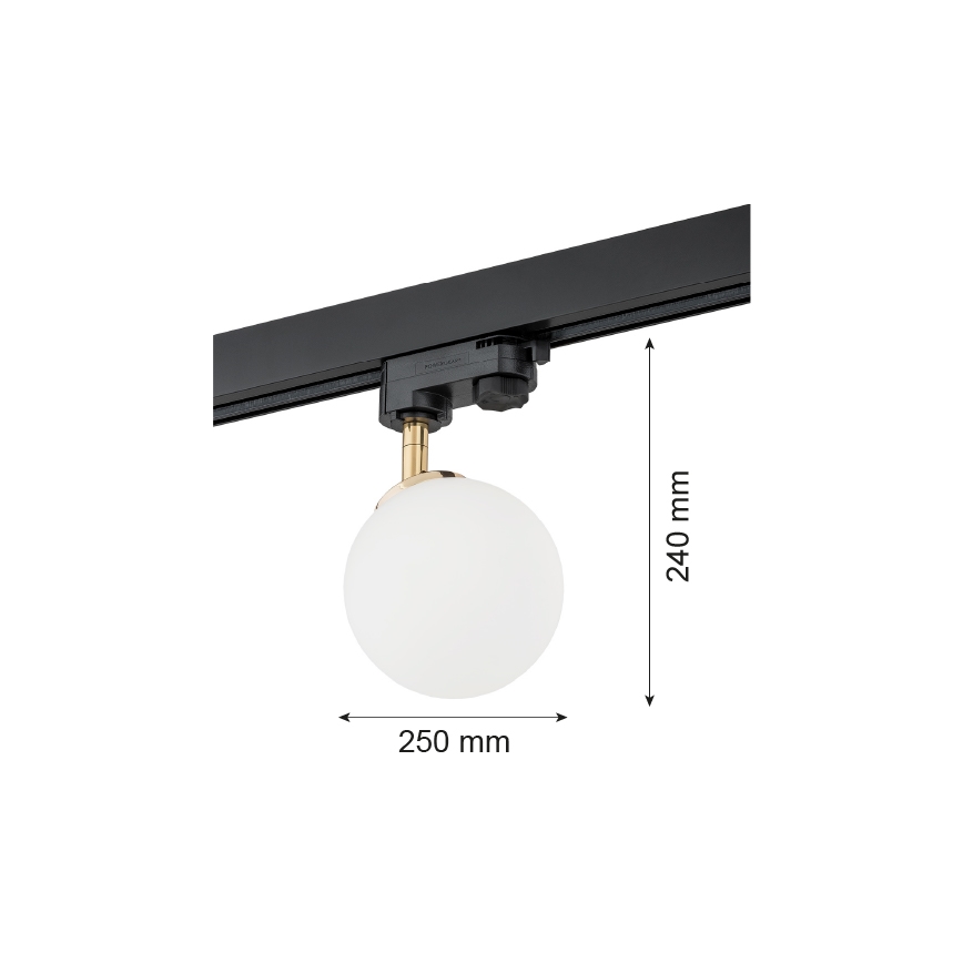 Argon 4307 - Spot pour système de rail BANG 1xG9/6W/230V laiton