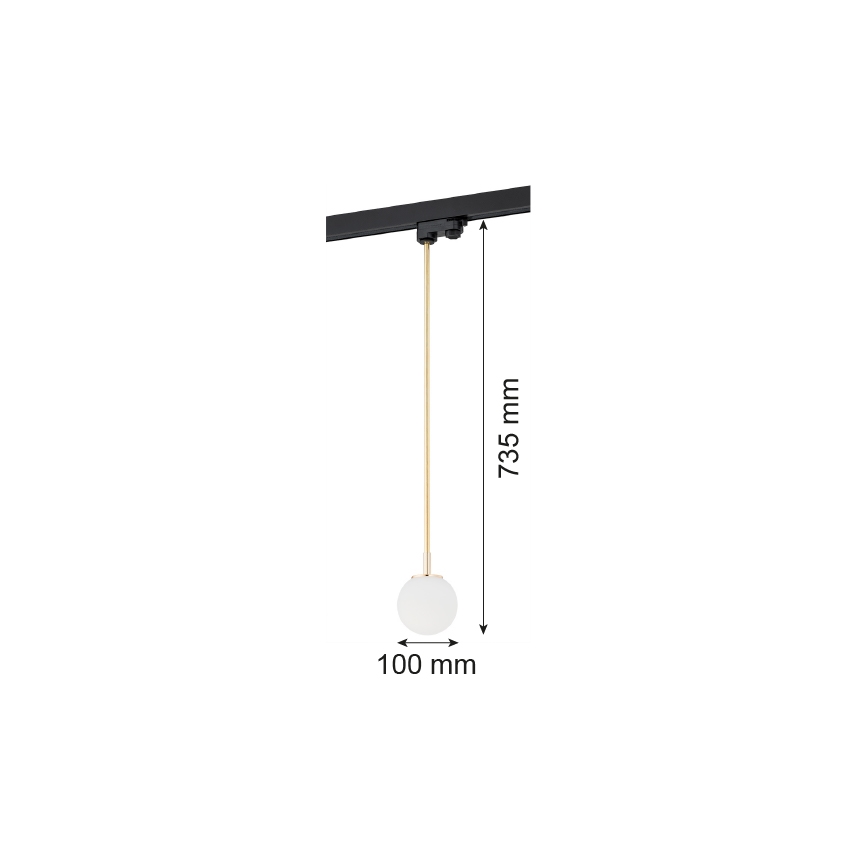 Argon 4308 - Hängeleuchte an Stange zum Schienensystem BANG 1xG9/6W/230V Messing