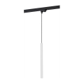 Argon 4330 - LED-Hängeleuchte an Schnur für Schienensystem ELBRUS LED/4,5W/230V weiß