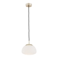 Argon 4352 - Lampadario a sospensione con filo TRINI 1xE27/15W/230V oro