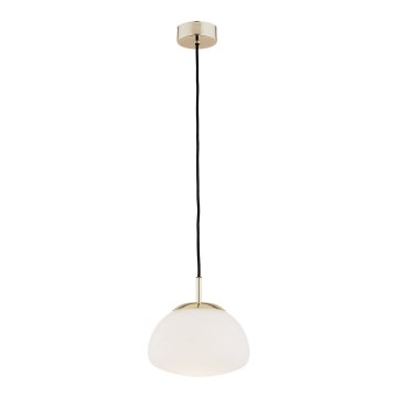 Argon 4352 - Lampadario a sospensione con filo TRINI 1xE27/15W/230V oro