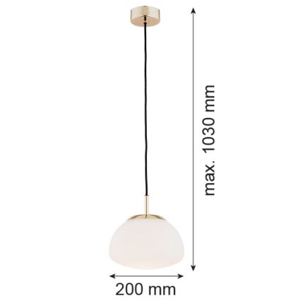 Argon 4352 - Lampadario a sospensione con filo TRINI 1xE27/15W/230V oro