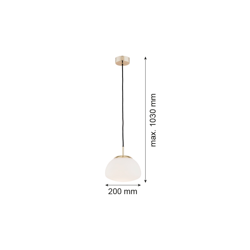 Argon 4352 - Hängeleuchte an Kabel TRINI 1xE27/15W/230V Ø 20 cm goldfarben