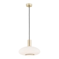Argon 4358 - Lampadario a sospensione con filo SAGUNTO 1xE27/15W/230V diametro 30 cm ottone