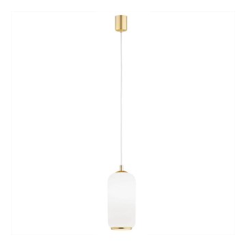 Argon 4993 - Suspension filaire PALLADO 1xE27/15W/230V doré/blanc