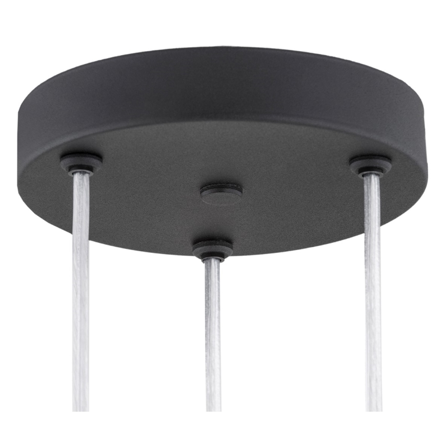 Argon 6103 - Lampadario su filo  HOLLYWOOD 3xE14/7W/230V nero