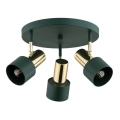 Argon 6196 - Luce Spot DORIA 3xE27/15W/230V verde/ottone
