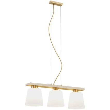 Argon 6250 - Lampadario a sospensione con filo ARDEN 3xE27/15W/230V oro