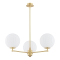 Argon 6307 - Lampadario a sospensione con supporto rigido PALOMA 3xE14/7W/230V oro/bianco
