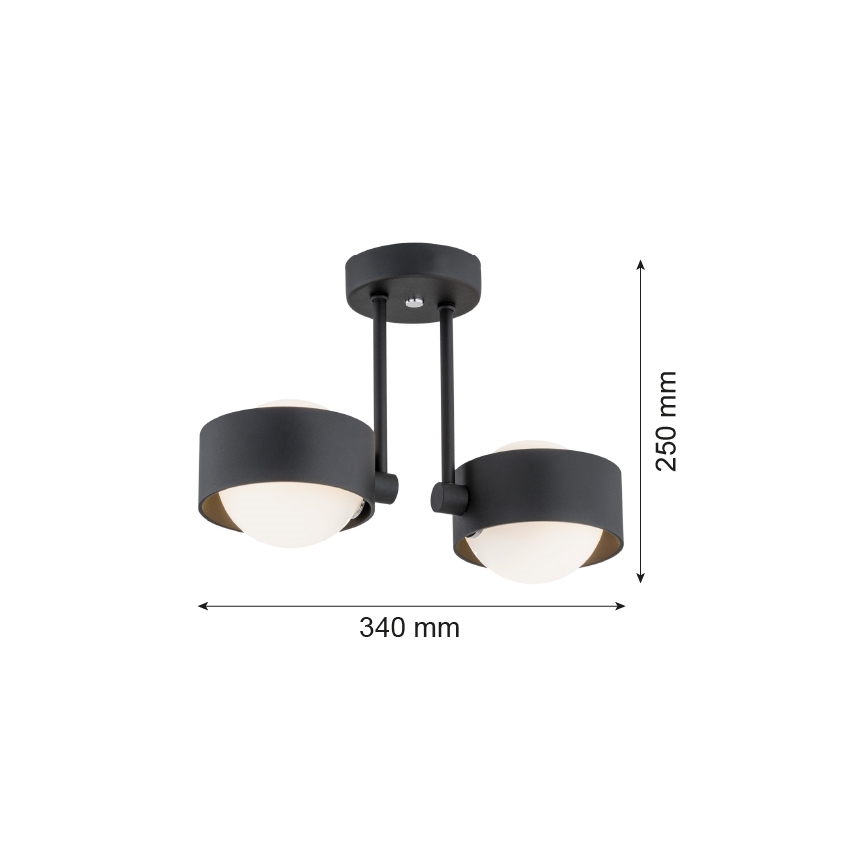 Argon 7089 - Lampadario su palo MASSIMO PLUS 2xG9/6W/230V nero