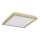 Argon 7146 - Plafoniera CASERTA 2xE27/15W/230V 32x32 cm