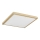 Argon 7167 - Plafoniera CARLSON 2xE27/15W/230V 29x29 cm oro