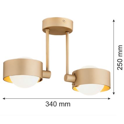 Argon 7215 - Lampadario da bagno a sospensione con supporto rigido MASSIMO PLUS 2xG9/6W/230V IP44 oro
