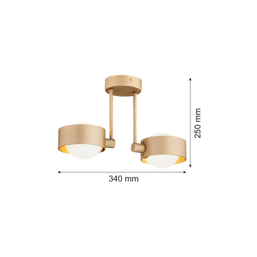 Argon 7215 - Lampadario da bagno a sospensione con supporto rigido MASSIMO PLUS 2xG9/6W/230V IP44 oro